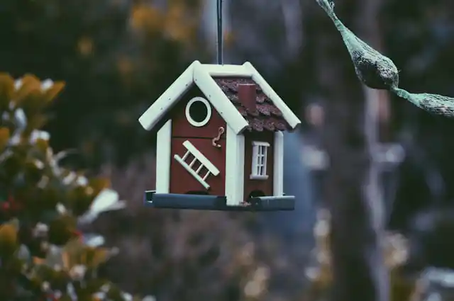 NZ Housing Market Predictions